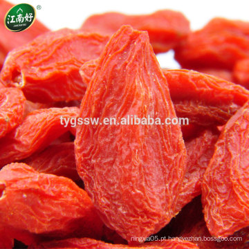 Goji berry orgânico / Fresh gojij berry / wolfberry chinês